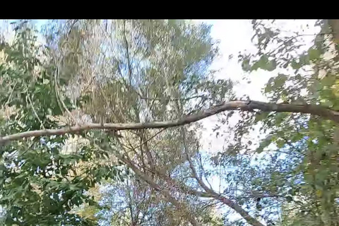 Cappadocia: Running or Hiking Experience with a Local GuideCappadocia Running Experience with a Local Guide