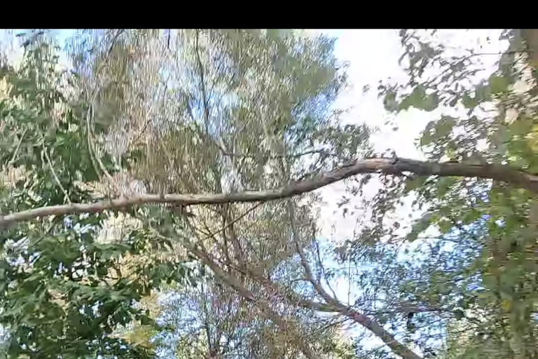 Cappadocia: Running or Hiking Experience with a Local GuideCappadocia Running Experience with a Local Guide