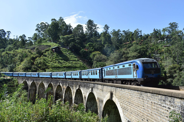 Från Galle/Weligama/Mirissa: Dagsutflykt till Ella Highlands