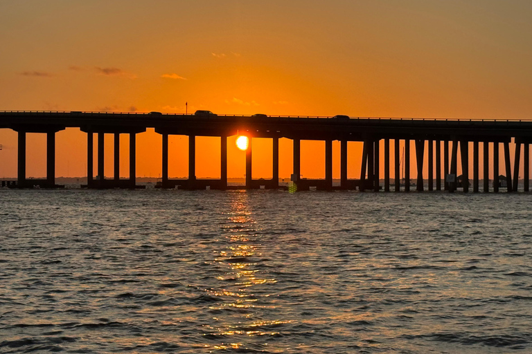 Destin: Sunset Pontoon Boat Cruise With Dolphin Watching