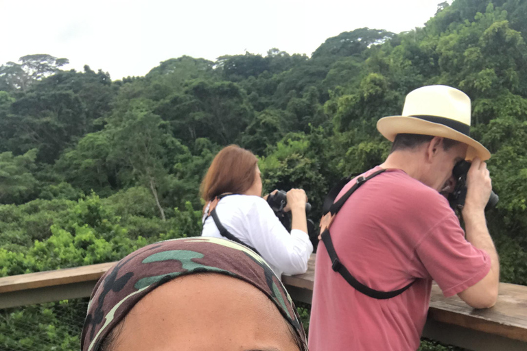 Birdwatching Pipeline Road Gamboa Town and Discovery Center