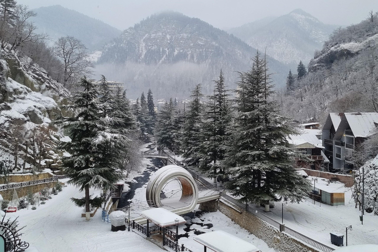 From Tbilisi: Borjomi and Bakuriani Day Trip