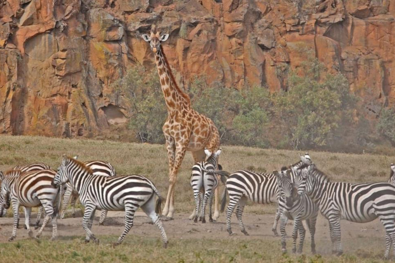 Hell&#039;s Gate National Park und Lake Naivasha Tagestour