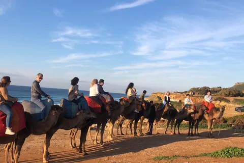 Vanuit Tarifa: Tanger volledige dagtrip met gids