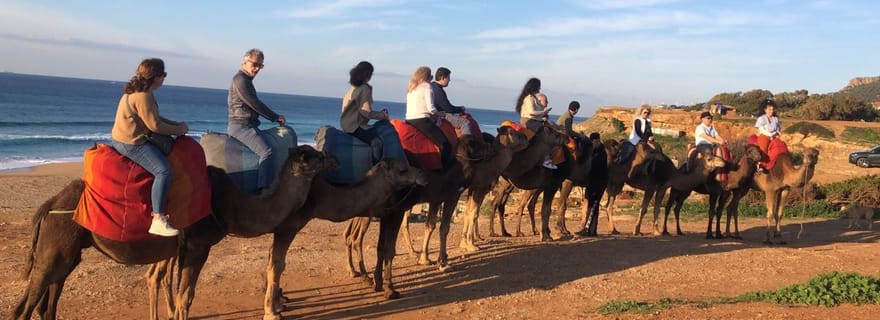 Depuis Malaga : Visite privée de Tanger