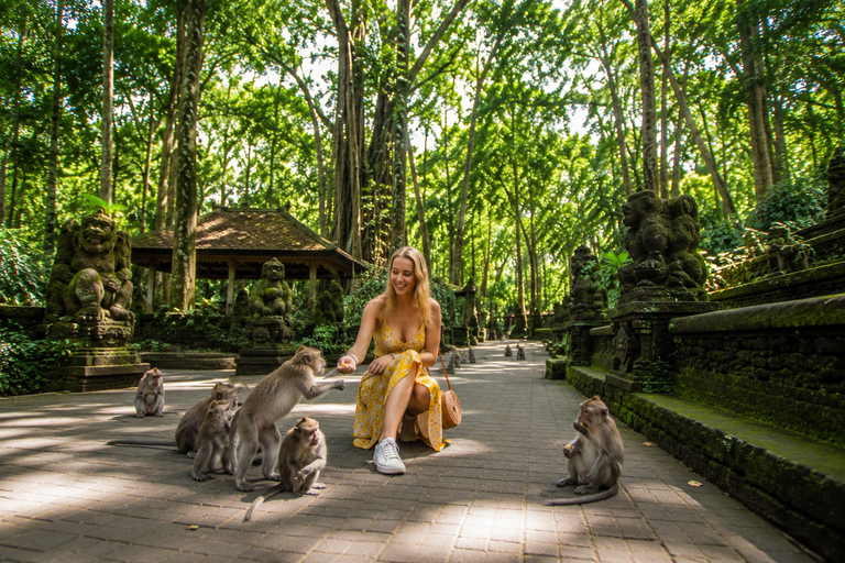 Bali: Monkey Forest, & Temple, With Waterfall, Swing Tour Private Tour Entry Ticket