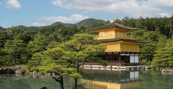 Kyoto by Bus: Nijo, Bamboo Grove & Fushimi Inari (EN/ES)