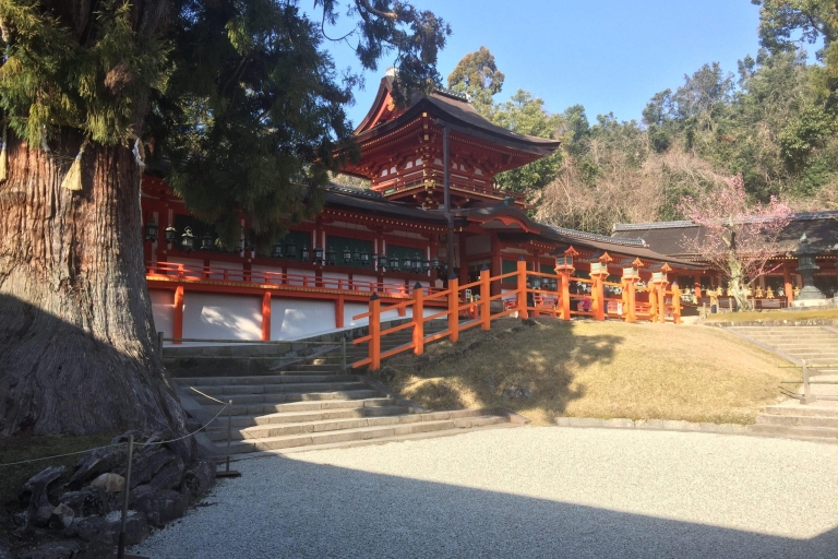 Nara: Private Guided TourNara: Ganztagestour mit privater Führung