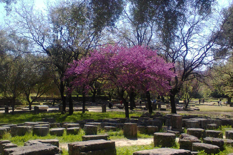 Guided tour of the archaeological site and archaeological museum in Olympia