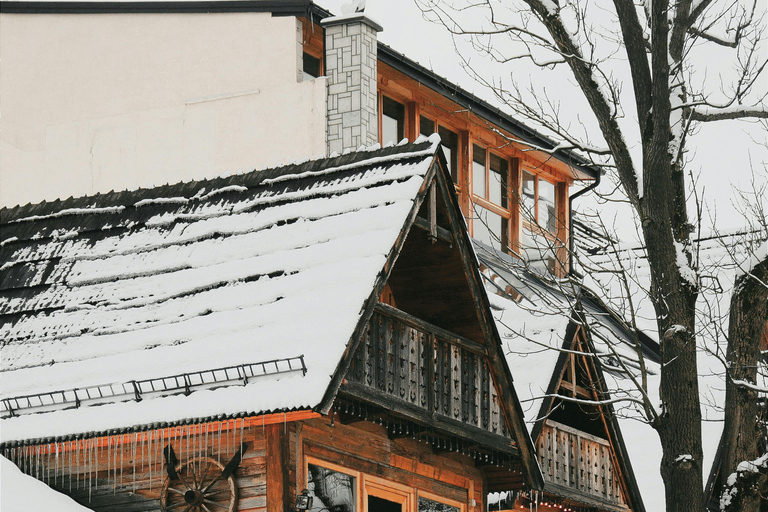 Thermal baths+Zakopane+Cottage+Bonfire+Tasting