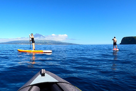 Faial: Stand-Up Paddle Board Rental Faial: Stand-Up Paddle Board and Snorkeling Rental