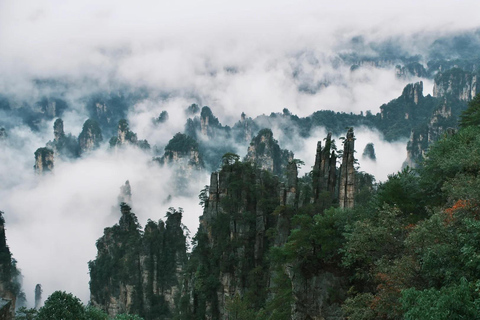 Visite exclusive d&#039;une journée du parc forestier national de Zhangjiajie (VIP)