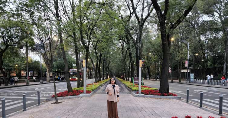 Mexico City: 19 City Highlights Bicycle Tour photo 12