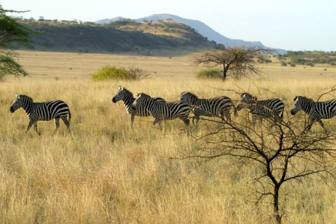 Chebera Churchura: 5-Day Wildlife & Nature Safari Experience