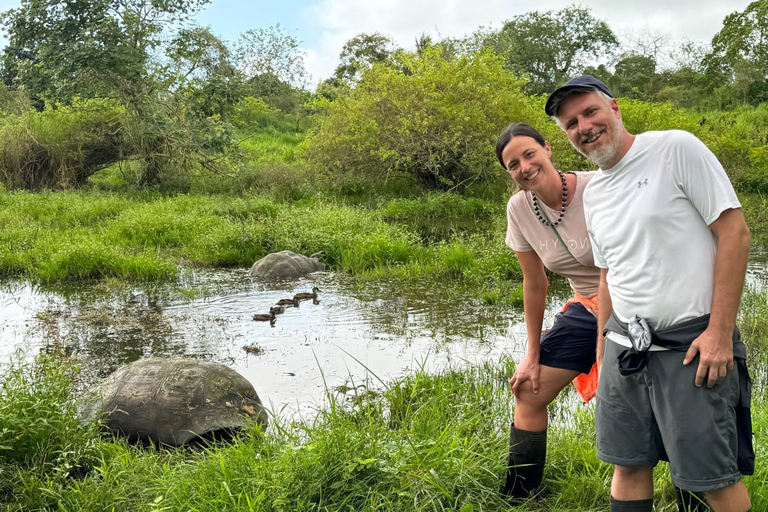 Galapagos: Giant Tortoises & Lava Tunnels tour with a Dome Stay Giant Tortoises & Lava Tunnels Experience with a Dome Stay