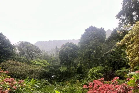 St Vincent: Montreal Gardens, Botanical Gardens & Fort Tour
