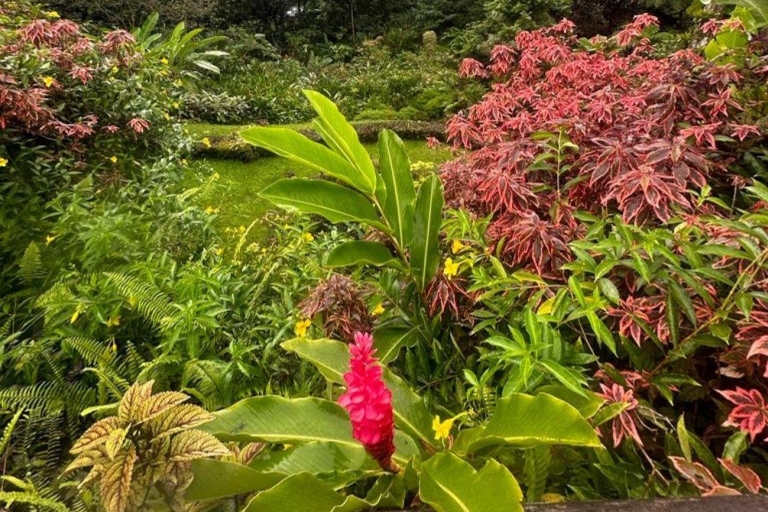 San Vicente: Visita a los Jardines, Jardín Botánico y Fuerte de Montreal