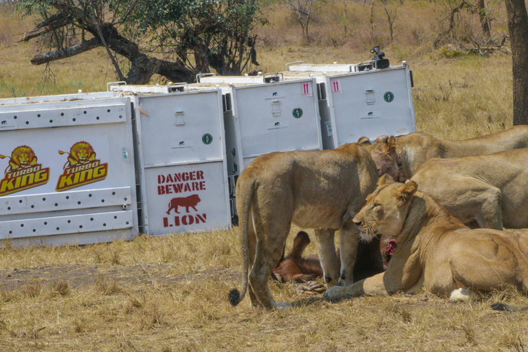 2-Day Akagera National Park Safari with Boat Cruise