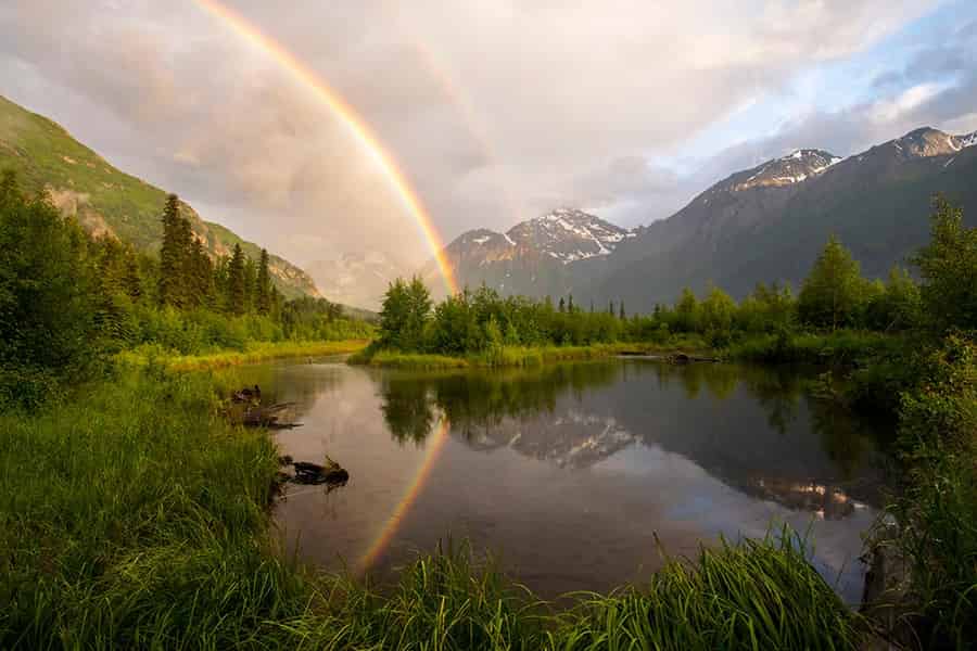 Ab Anchorage: Halbtägige Wanderung im Eagle River Nature Center. Foto: GetYourGuide Ab Anchorage: Halbtägige Wanderung im Eagle River Nature Center. Foto: GetYourGuide