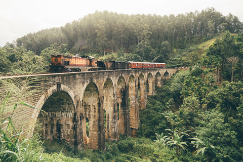 Explore Ella&#039;s Charm : Tuk Tuk Transfer to Nine Arch Bridge