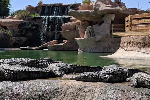 Agadir Crocoparc Entry Ticket with Botanical Gardens Access