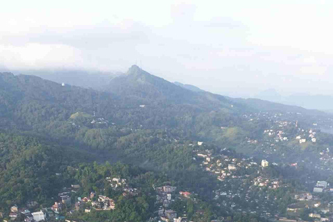 Tuk-Tuk Tales of Kandy: A Sensory City Tour with Local Guide A Sensory Kandy City Tour by Car Van with Local Guide