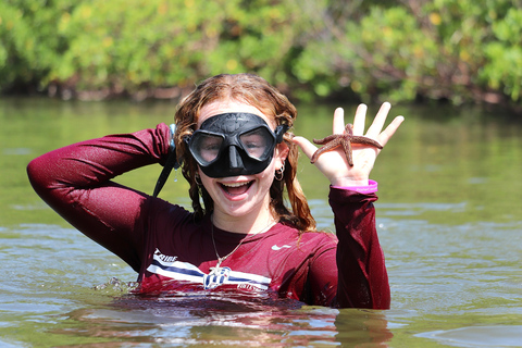 From Naples, FL: Marco Island Mangroves Kayak or Paddle Tour Easy Ride Pedal Kayak Tour
