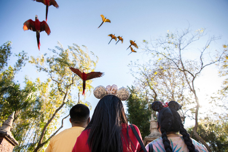 Orlando: Entradas Walt Disney World - 1 Parque por díaEntradas de 7 días para Walt Disney World - 1 parque por día