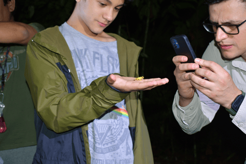 Tarapoto: Night Hike in the Amazon Rainforest