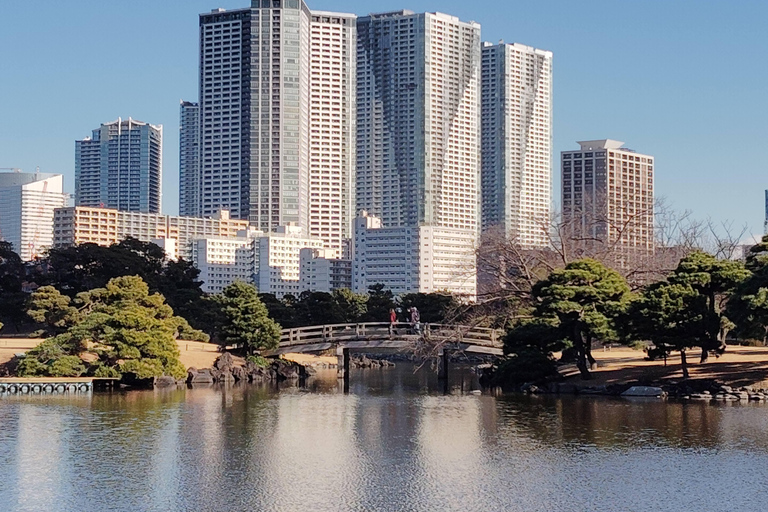 Tokio: Kiyosumi, Hama-Rikyu en Kyu-Yasuda Tuin Tour