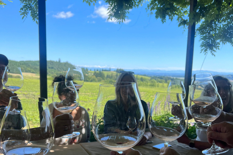 Willamette Valley: Customizable Full Day Wine Tour