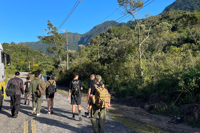 Da Rio: ritiro ecoturistico di 4 giorni con trasferimenti e cabineDa Rio: 4 giorni di eco-turismo con trasferimenti e alloggio in bungalow
