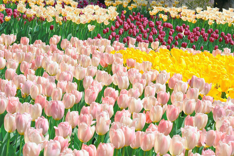 West Lake: Seasonal Masterpiece (100% Bespoke Private Tour)