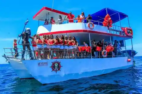 Puerto Vallarta : Le prédateur de la mer