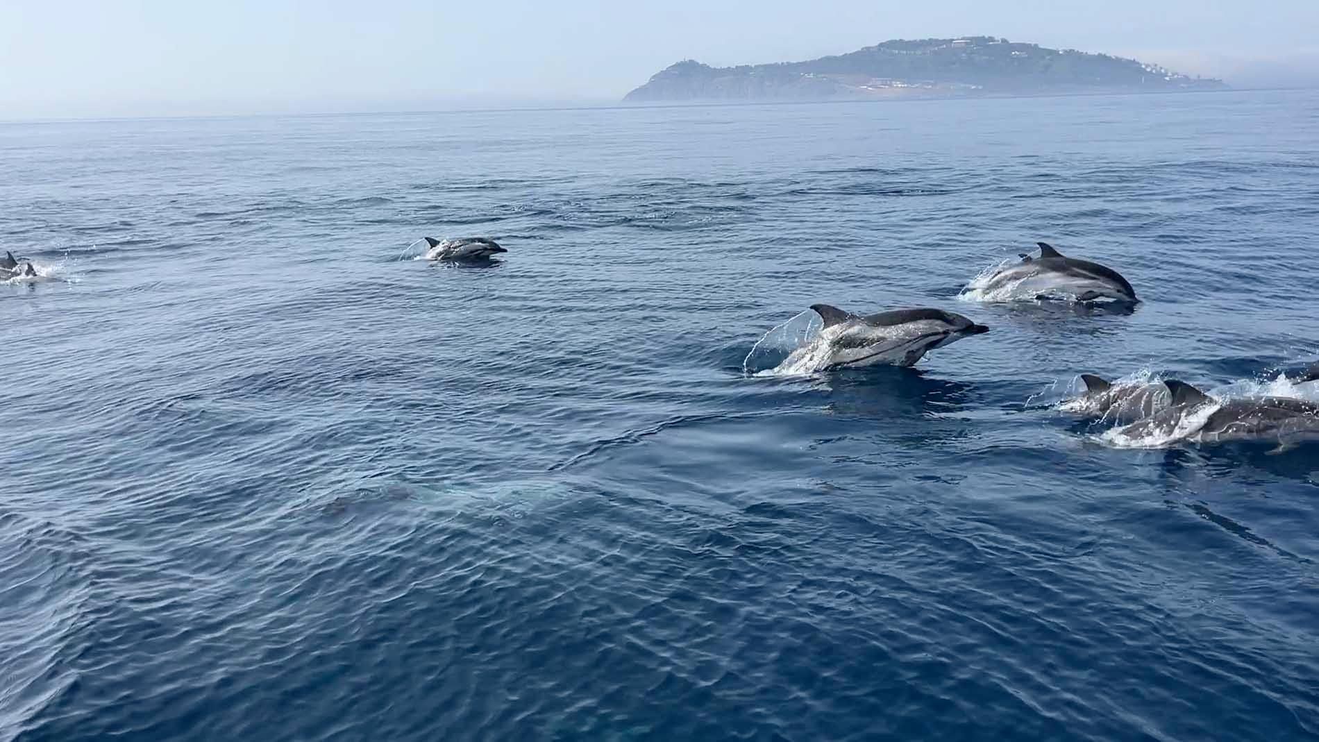 Ab Sotogrande: 2-tägiger Segeltörn nach Ceuta (Afrika)