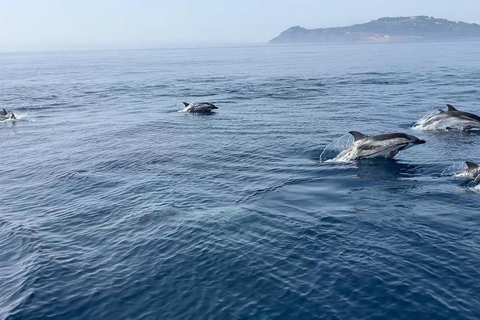 From Sotogrande: 2-Day Sailing Trip to Ceuta (Africa)
