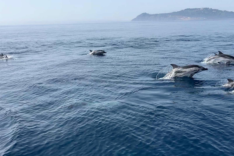 From Sotogrande: 2-Day Sailing Trip to Ceuta (Africa)