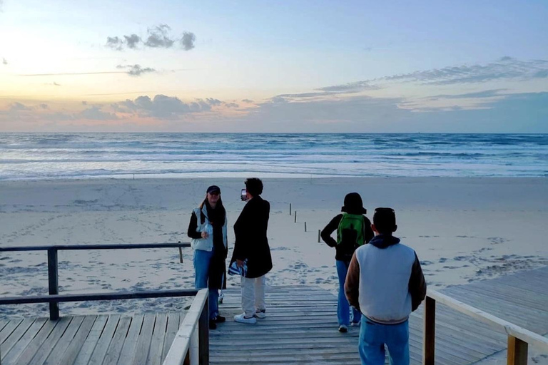 From Porto: Aveiro and Costa Nova Half-Day Tour with Cruise