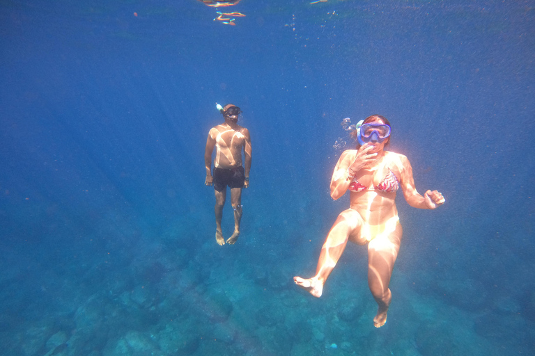 Tenerife : Kayak avec masque et tuba, découvrez les tortues et les poissons.Tenerife : Kayak et plongée en apnée avec tortugas et delfines