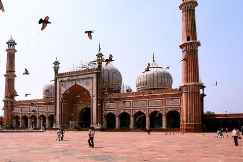 Delhi: tour espiritual de 4 religiones y espectáculo de agua de AkshardhamTour privado (coche + guía)