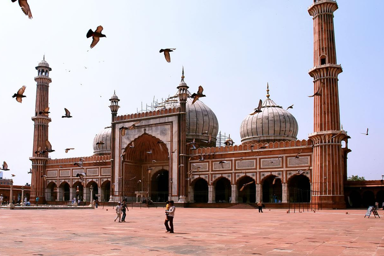 Delhi: tour espiritual de 4 religiones y espectáculo de agua de AkshardhamTour privado (coche + guía)