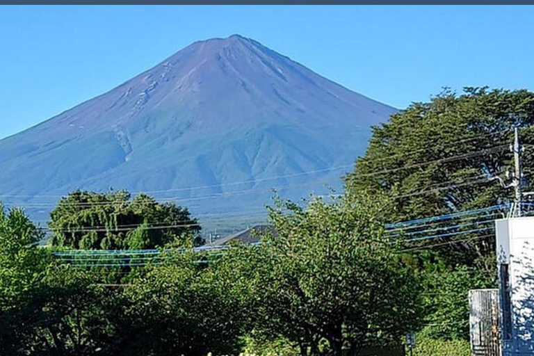 Mt.Fuji Private tour by car with pick and drp from Tokyo Tokyo Private1-Day MT Fuji by Charter by driver