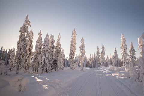 Levi: 6 Hour Authentic Snowmobile Safari to Lappish Villages