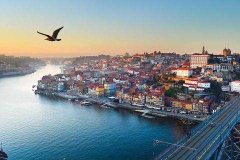 Private transfer Porto to/from Lisbon + attractions stops