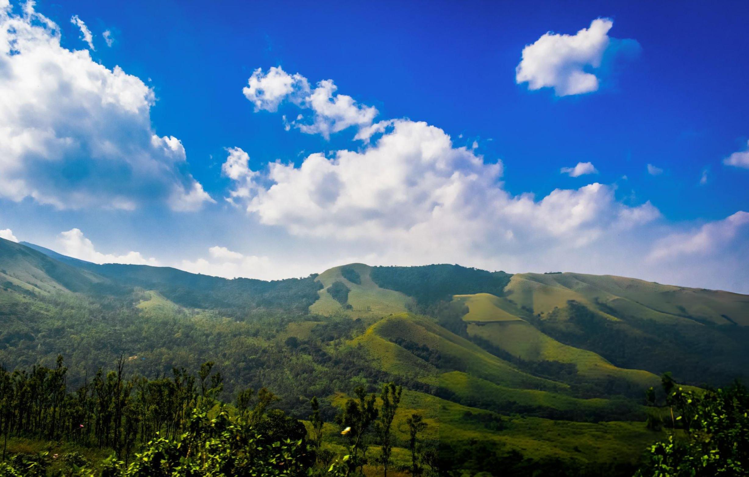 Das Beste von Chikmagalur: Geführte Tagestour ab Mysore mit dem Auto