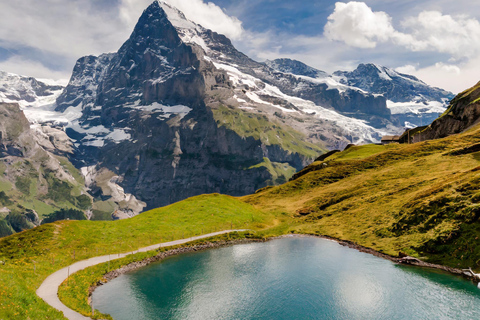 Från Zürich: Interlaken och Grindelwald privat dagstur