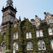 Toronto : Visita guiada a pie por el arte callejero