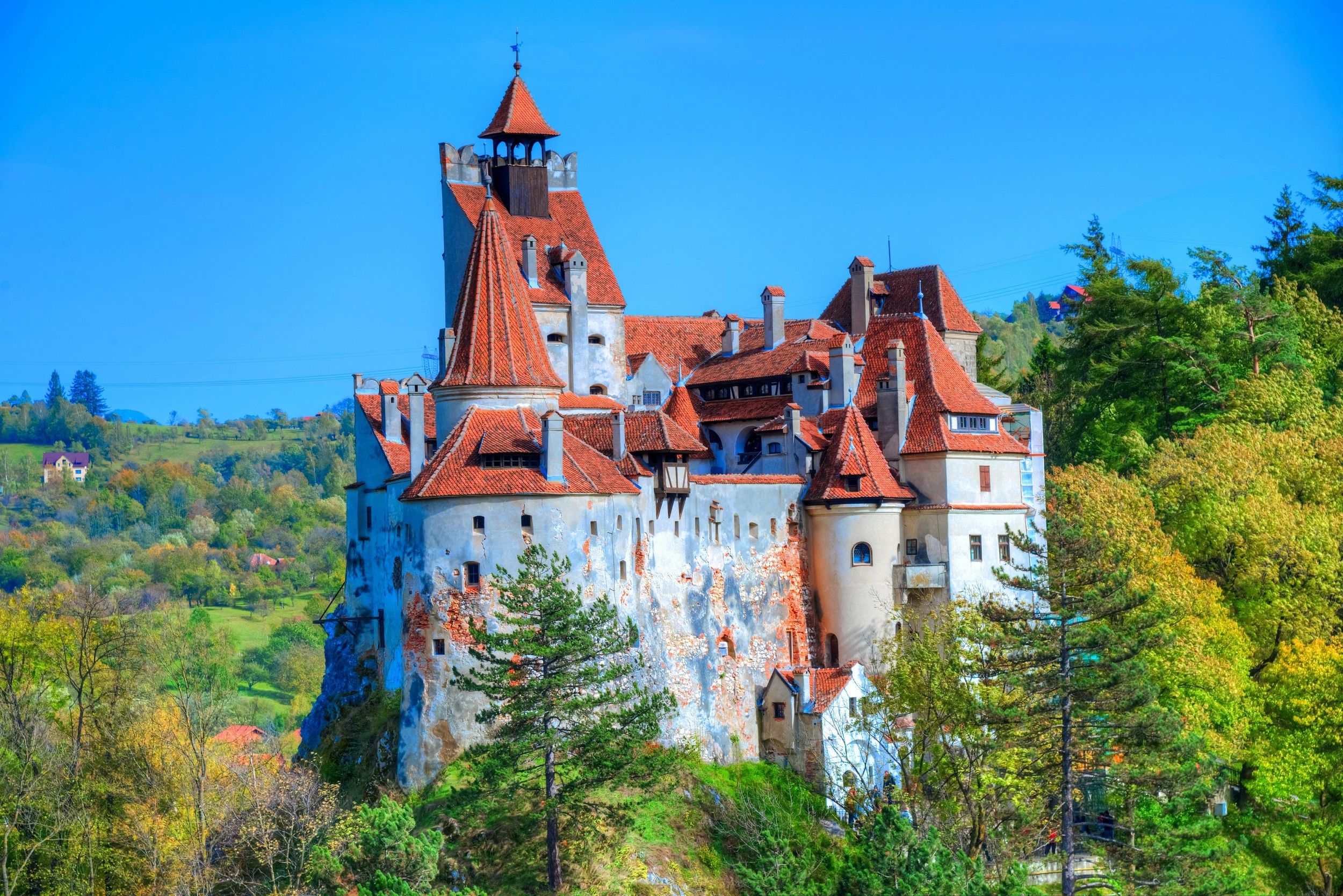 MINIVAN – Ganztägige Tour: Schloss Bran, Schloss Peleș & Brașov