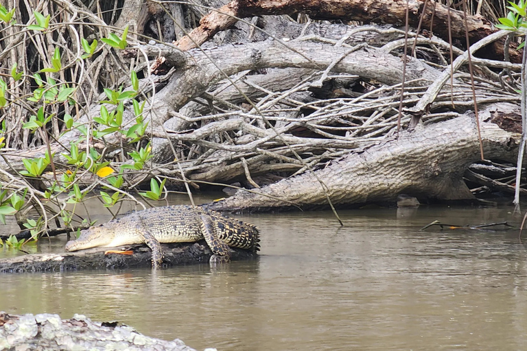 Bentota: River Safari with Wildlife and Island Visits