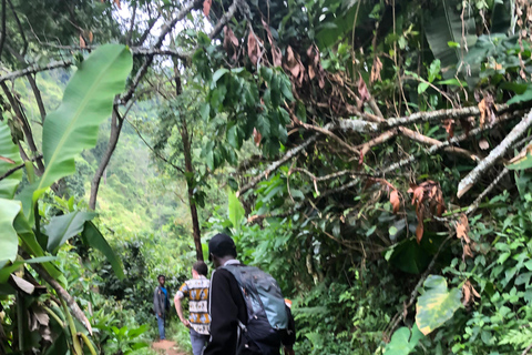 CACHOEIRAS DE MATERUNI: PASSEIO DE CAFÉ E FONTE TERMAL DE CHEMKACACHOEIRAS DE MATERUNI, PASSEIO DE CAFÉ E FONTE TERMAL DE CHEMKA